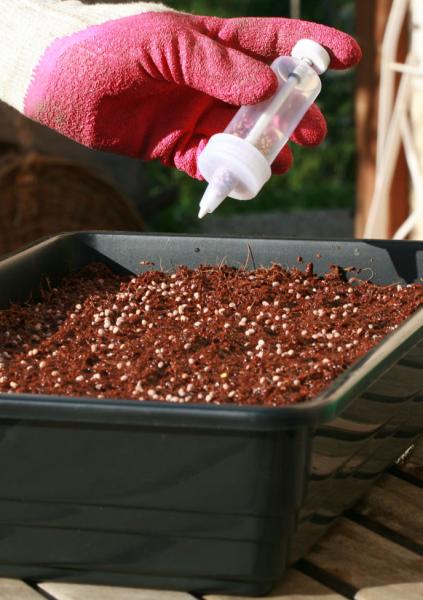 Accessoires pour semer - Terrines de Semis - face recto